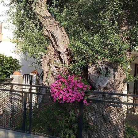 Aegean Balcony Villa สกาลา กัลลีราคิส ภายนอก รูปภาพ